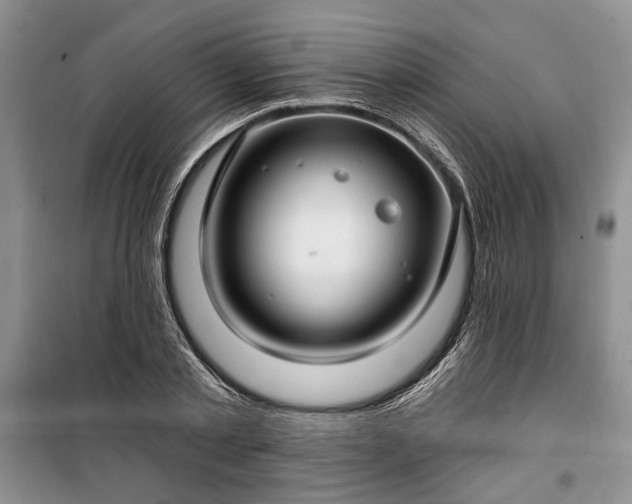 X0000100360789200806131014