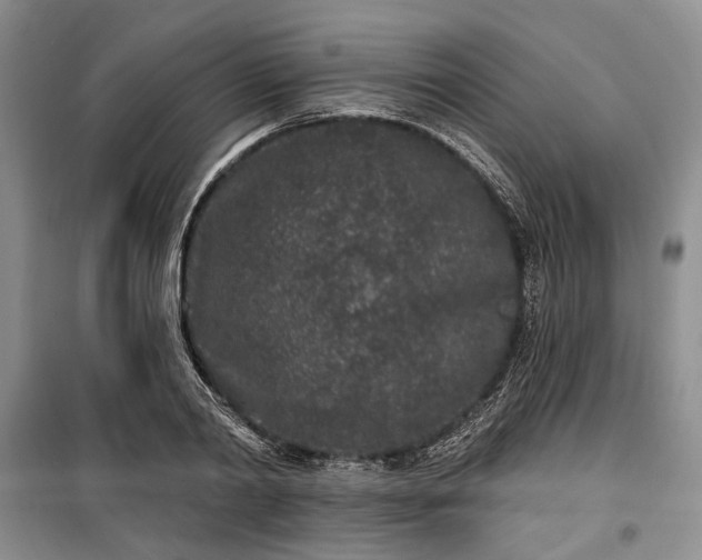 X0000100360790200806131014