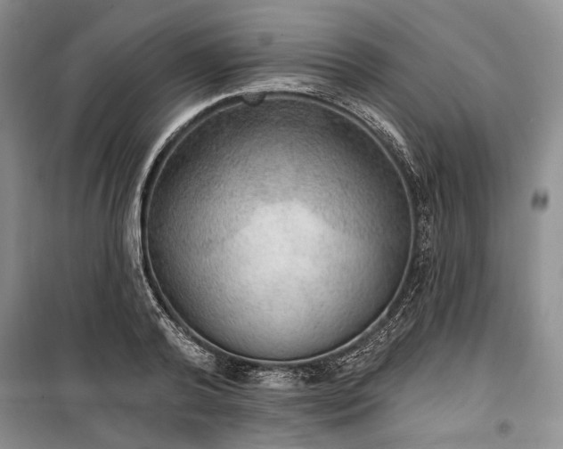 X0000100360792200806131014