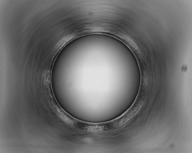 X0000100360793200806131014