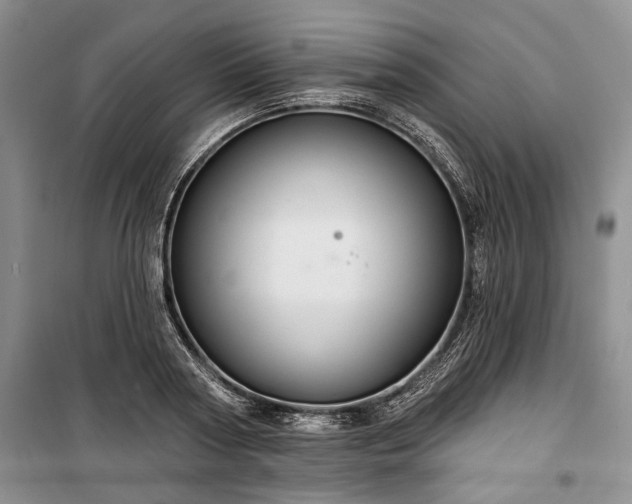 X0000100360794200806131014