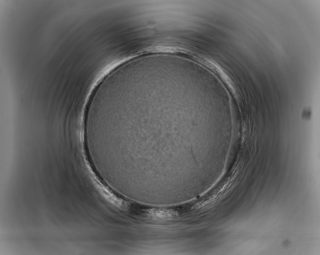 X0000100360795200806131014