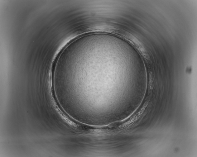 X0000100360796200806131014