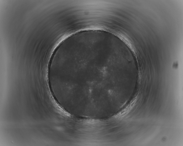 X0000100360797200806131014