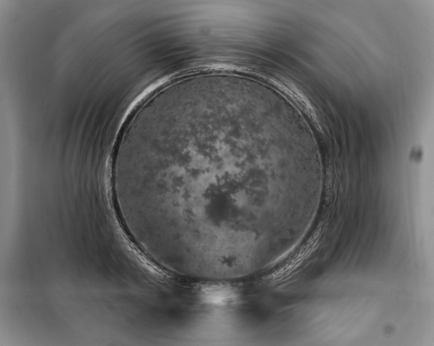 X0000100360798200806131014