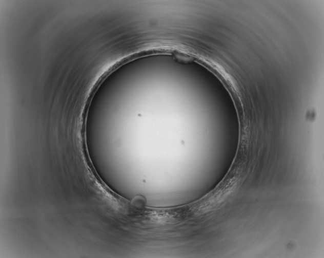 X0000100360799200806131014