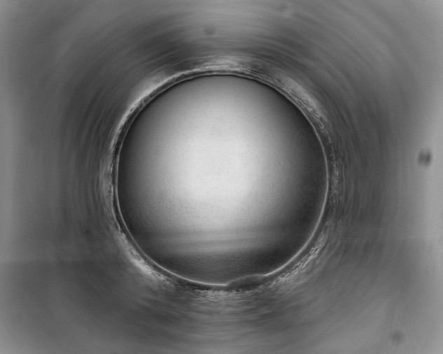 X0000100360800200806131014