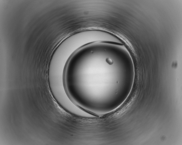 X0000100360801200806131014