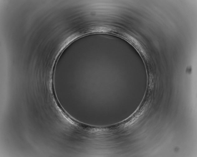 X0000100360802200806131014