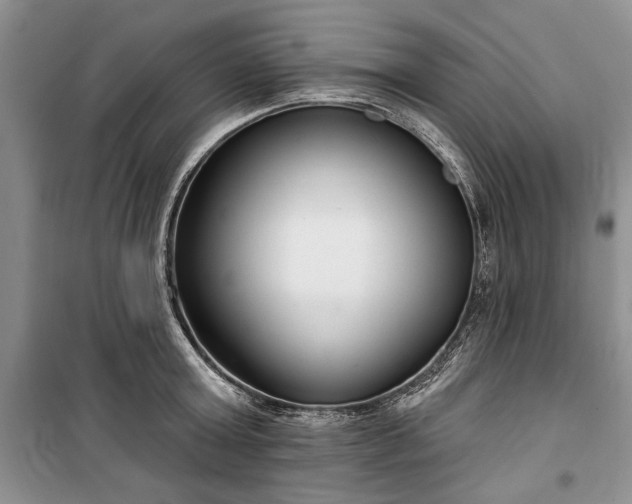 X0000100360803200806131014