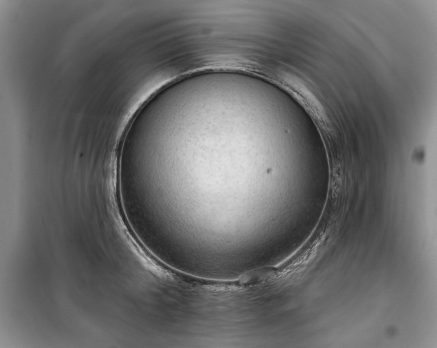 X0000100360804200806131014