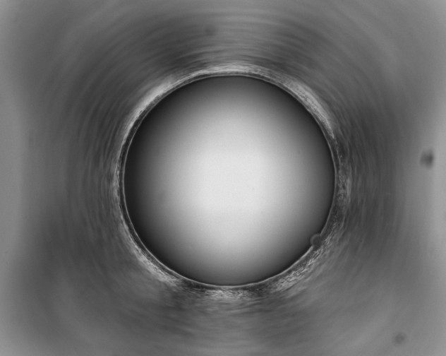 X0000100360805200806131014