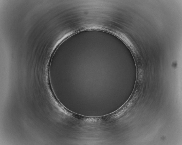 X0000100360806200806131014