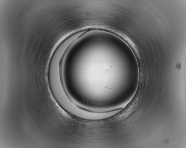 X0000100360807200806131014