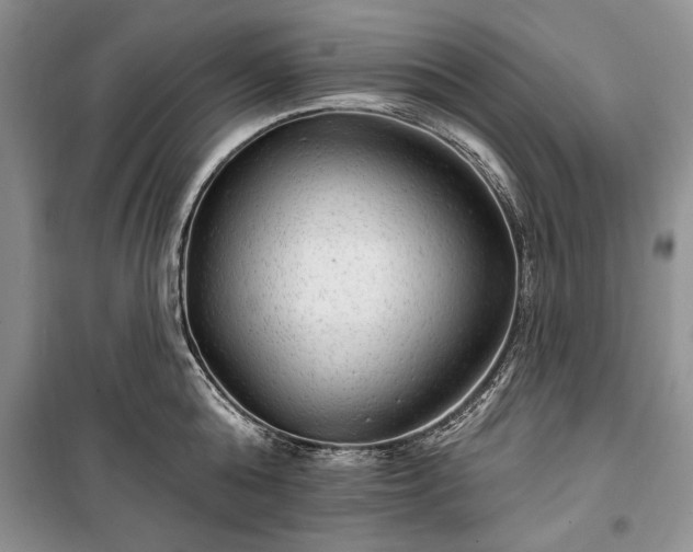 X0000100360808200806131014