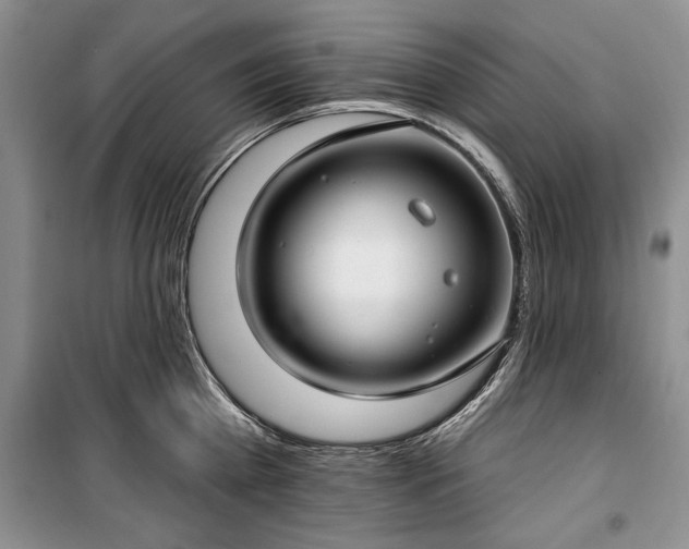 X0000100360809200806131014