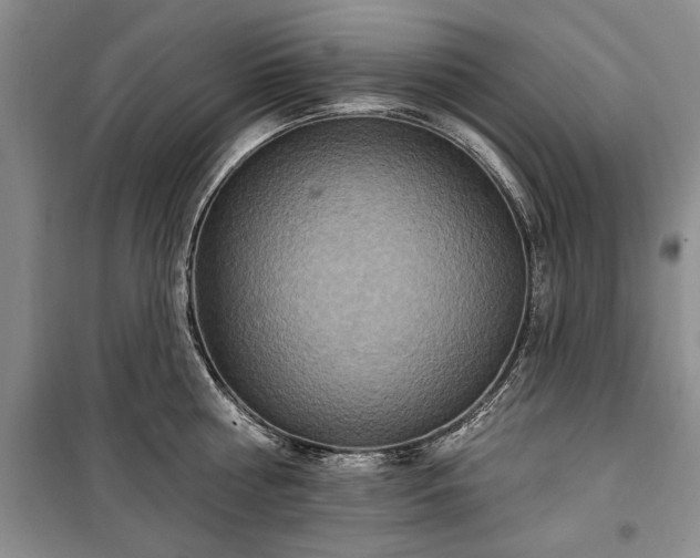 X0000100360810200806131014