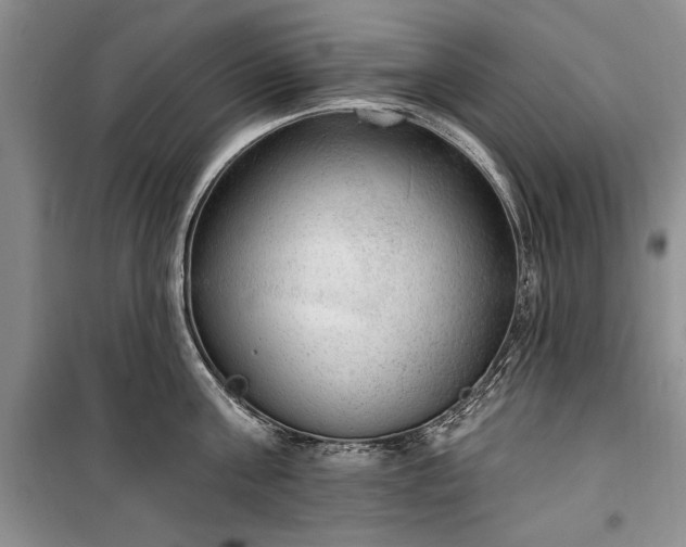 X0000100360811200806131014