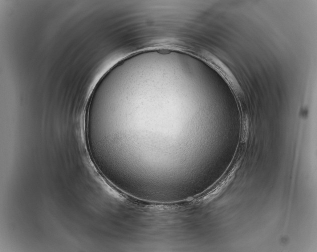 X0000100360812200806131014