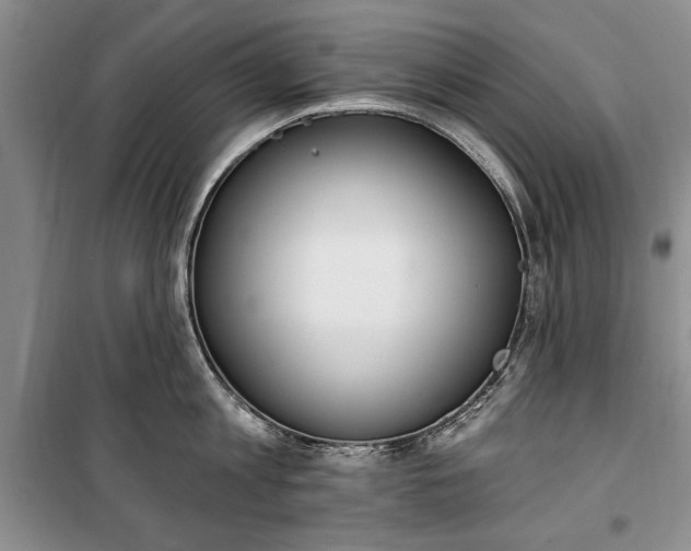 X0000100360813200806131014