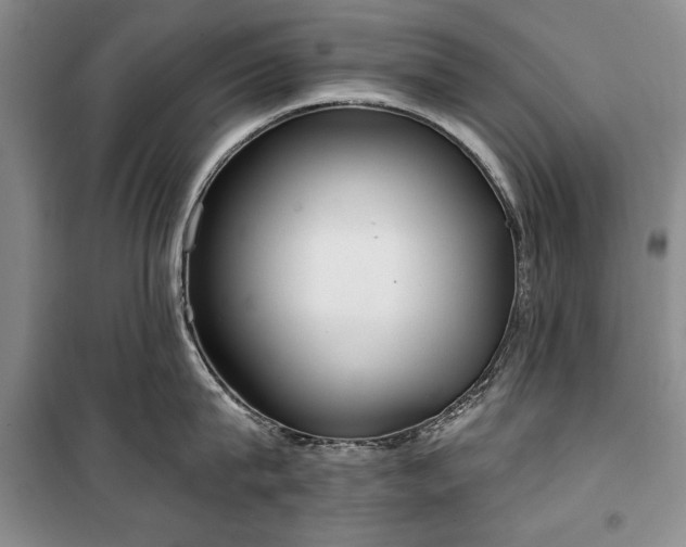 X0000100360815200806131013