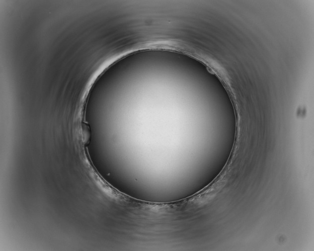 X0000100360816200806131013