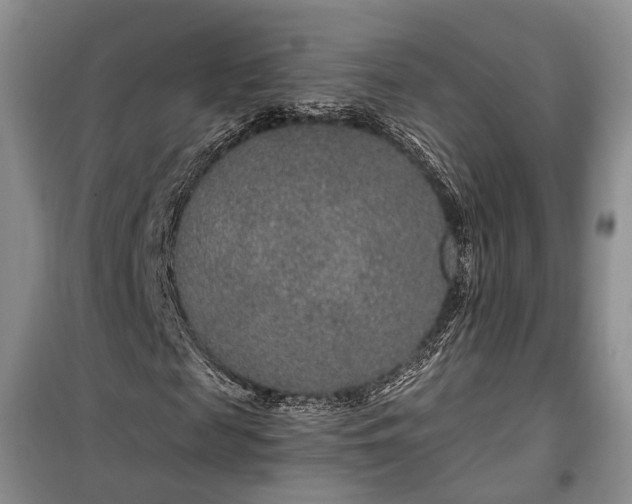 X0000100360817200806131013