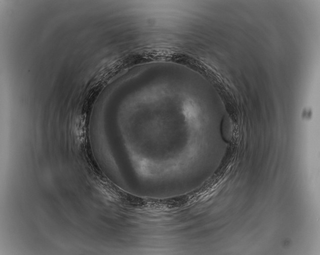 X0000100360818200806131013