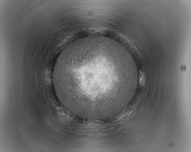 X0000100360819200806131013