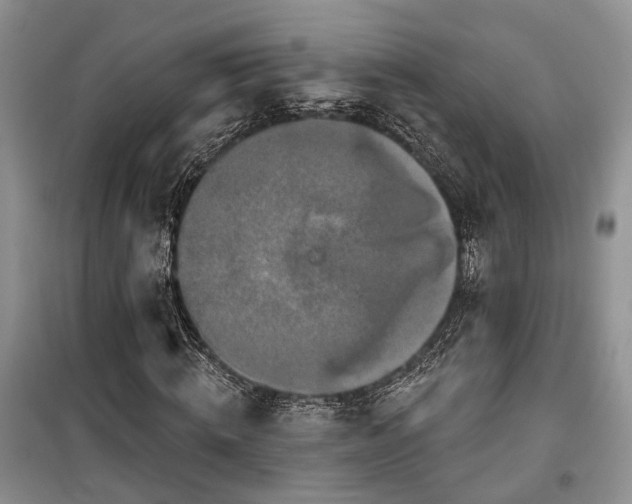 X0000100360820200806131013