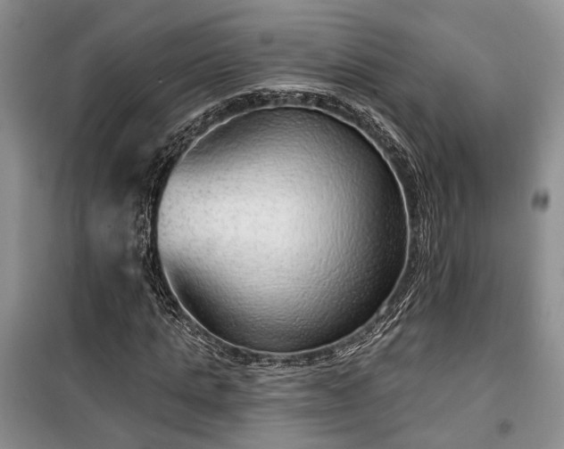 X0000100360821200806131013