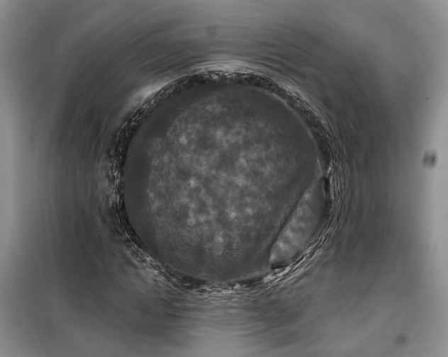 X0000100360822200806131013