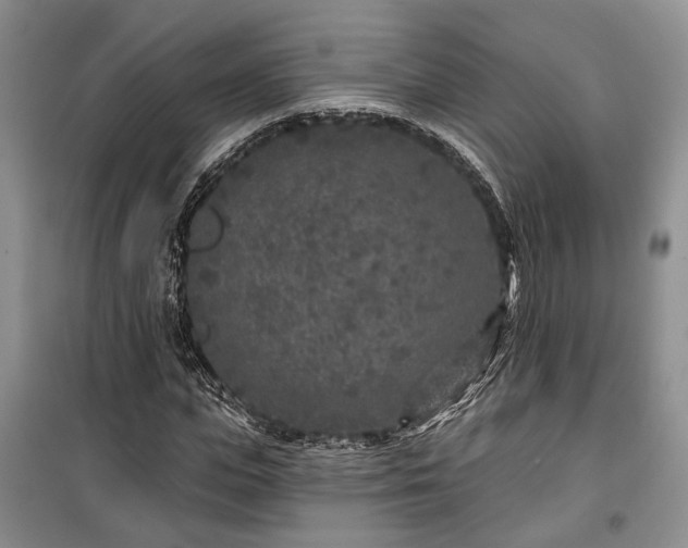 X0000100360823200806131013