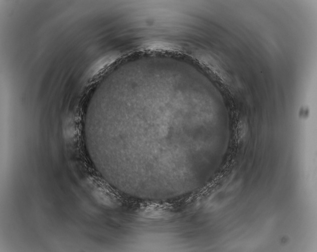 X0000100360824200806131013