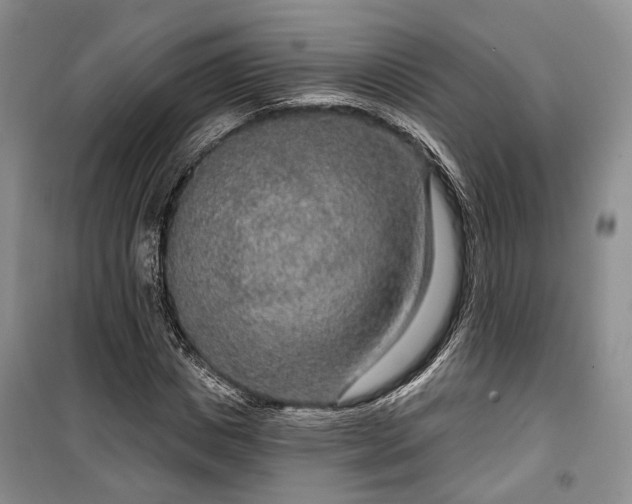 X0000100360825200806131013