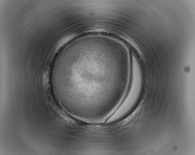 X0000100360826200806131013