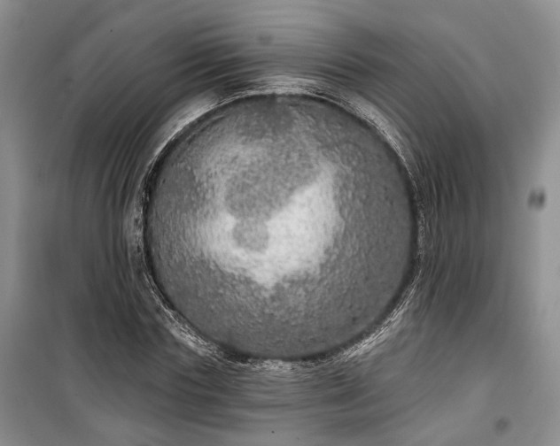 X0000100360827200806131013