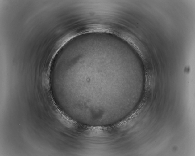 X0000100360828200806131013