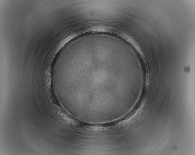 X0000100360829200806131013