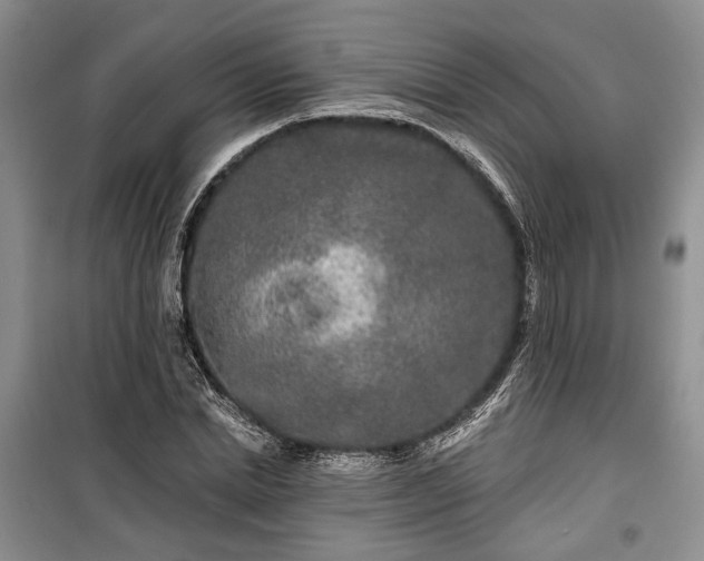 X0000100360830200806131013