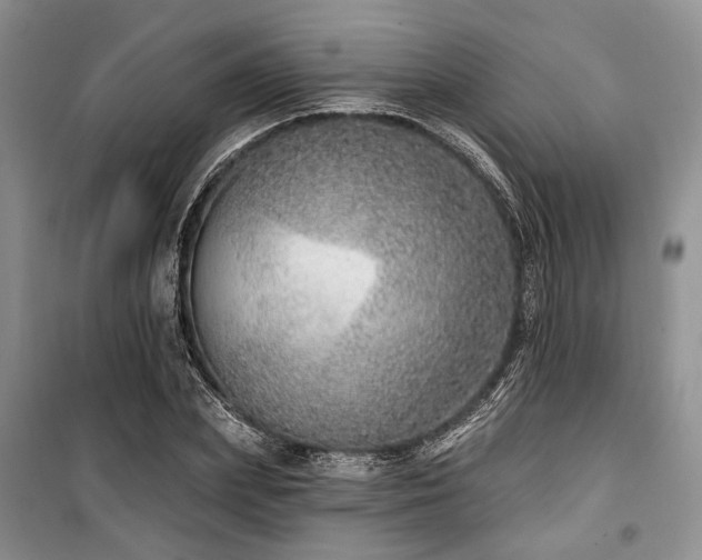 X0000100360831200806131013