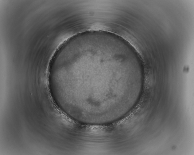 X0000100360832200806131013