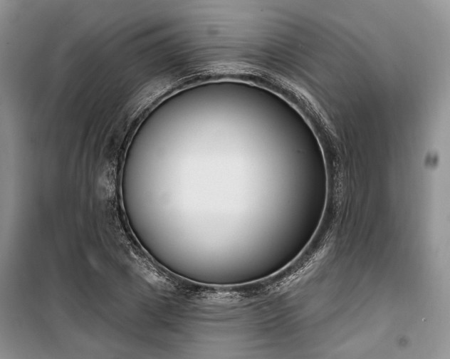 X0000100360833200806131013