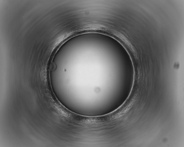 X0000100360834200806131013