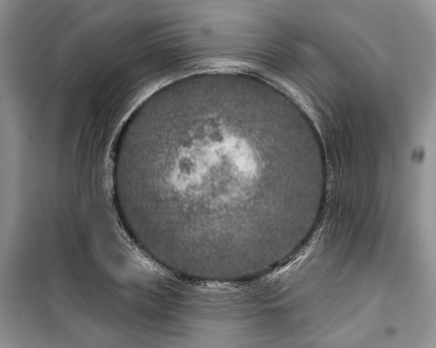 X0000100360835200806131013