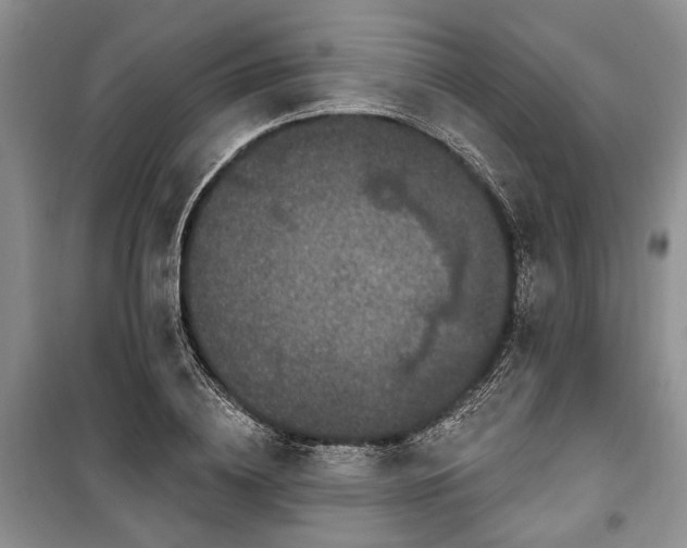 X0000100360836200806131013