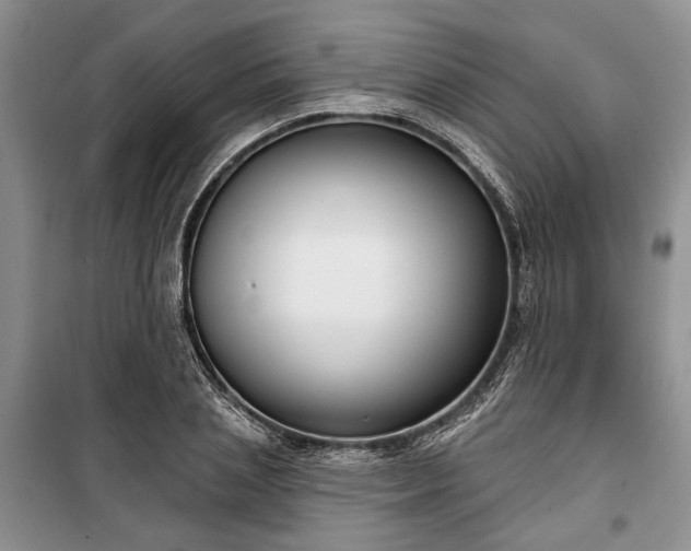 X0000100360837200806131013