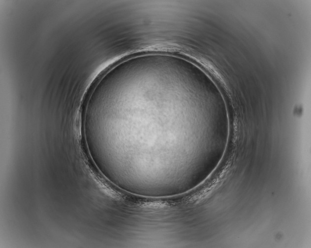 X0000100360838200806131013