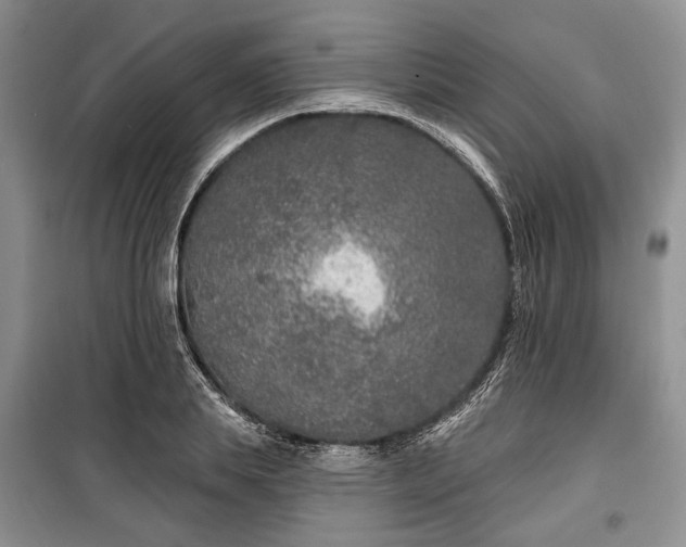 X0000100360839200806131013