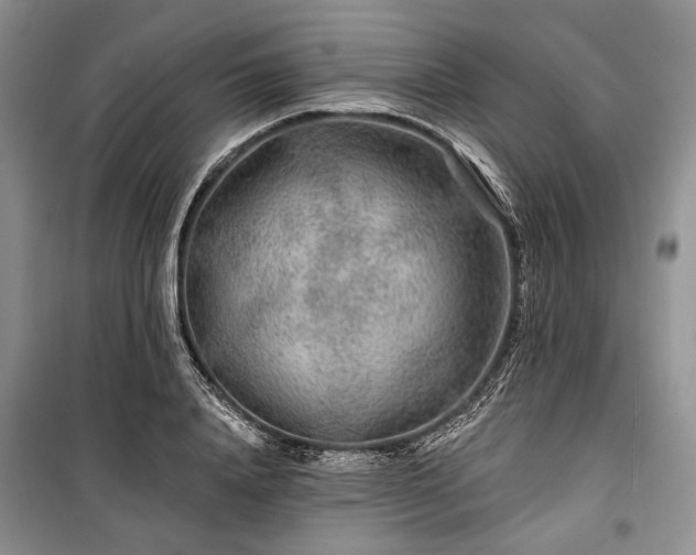 X0000100360840200806131013